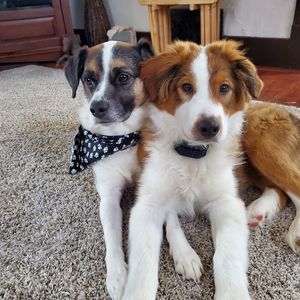 Meet your Posher, Sonja